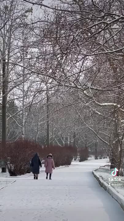 ����� ��� ������ ���� � ��������� ��� ���� � ����� TikTok