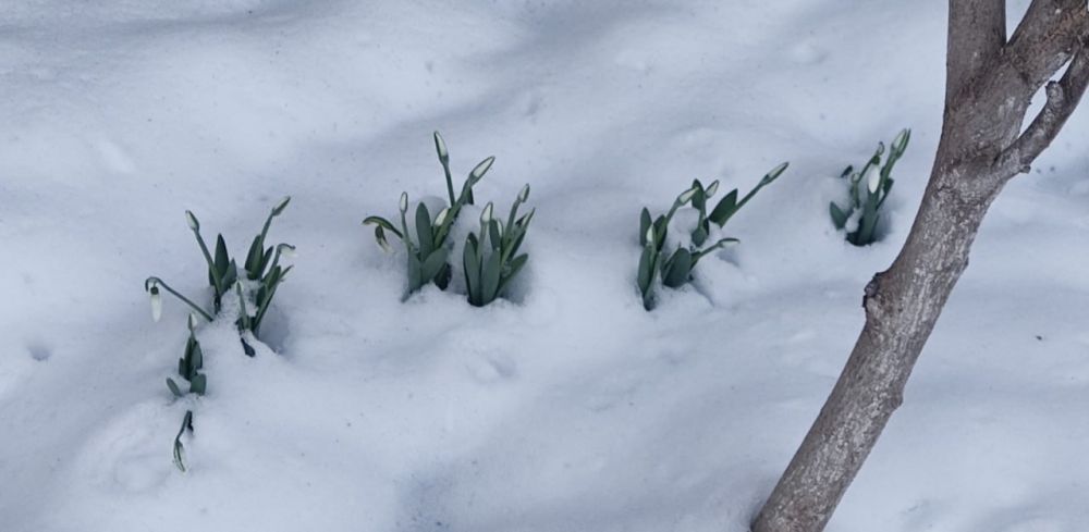 ���� � ��� �� �������������