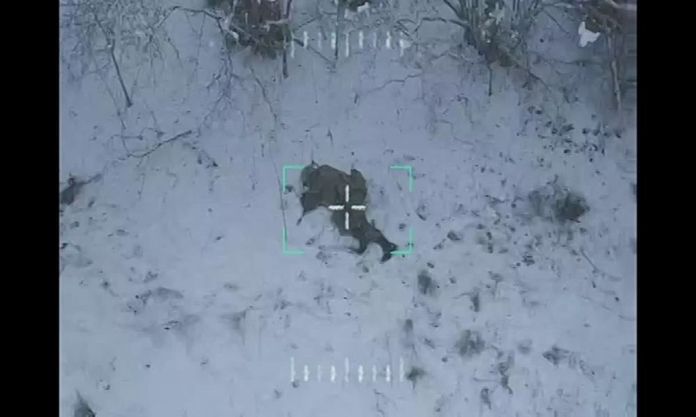 ���������� ���� ��� ������ ������ ����������� ��������