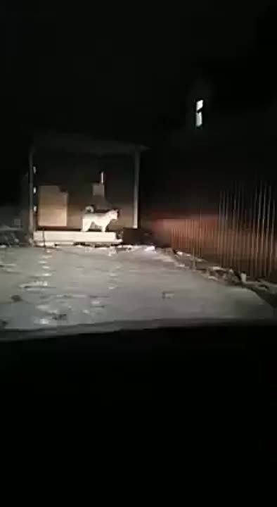 � ������� ����������� ���� ������� ��������� �������, ������� ��������� ����� ����������� ������