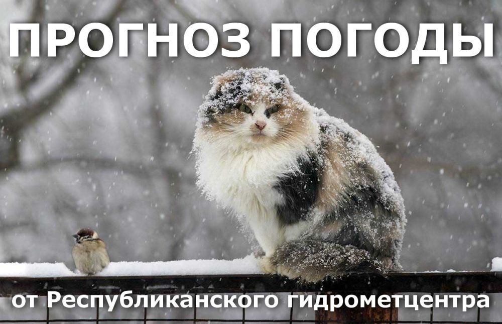 1 ������� ��������� �������� � ������������ ������, ���� ������� ������ ����, �� ������� ����������