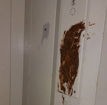 � ��������� ���� 14-������ ��������� ����� ���������� ������ � ����� ���������������