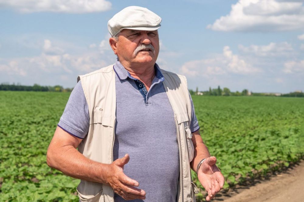 � ����������� ������ �� ��� � ������ �������