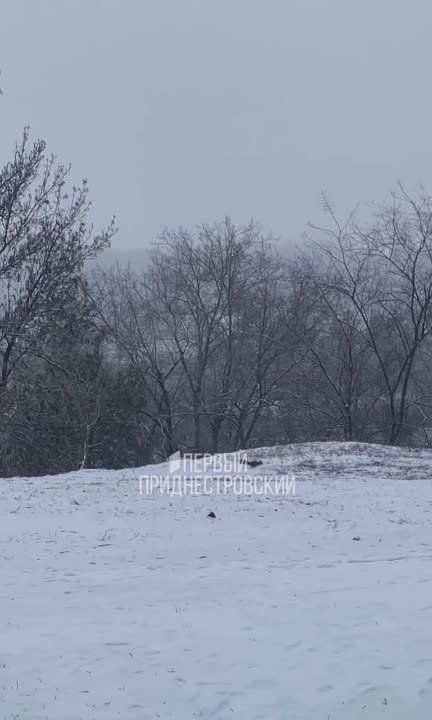 ����� ����, ���� ������ ��� ��� ����� ������ �� �����, � �� �������� ������