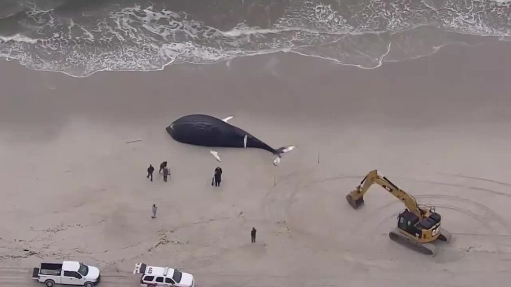 20-��������� ������ ���� ��������� �� �������������� ���������