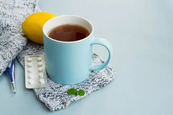 ������������������ ���������� � ���������� ������� ���������������