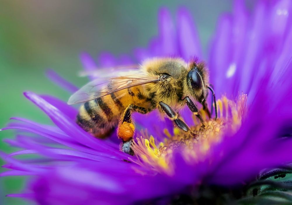 �������� ���������� ��� ���������� �������������