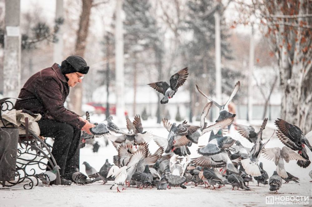 ������ ���������� �������� ��� ������