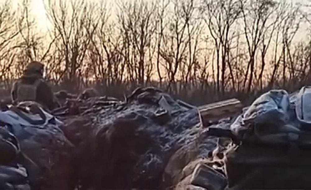 ���������� ��� �� ������� ���