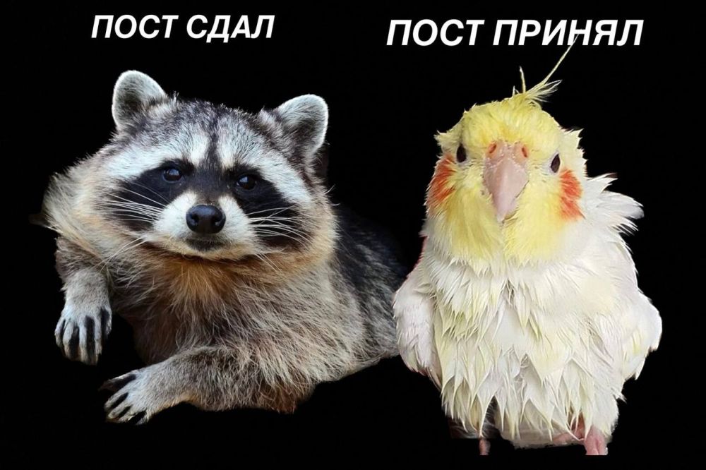 ����������� � �������������� ����� ����� �������� �� 26 �������