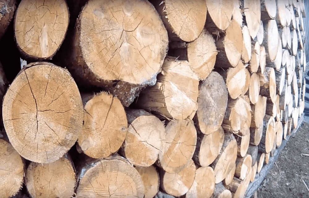 �������� �������� �� ������� ������ ������ ���� �� ����