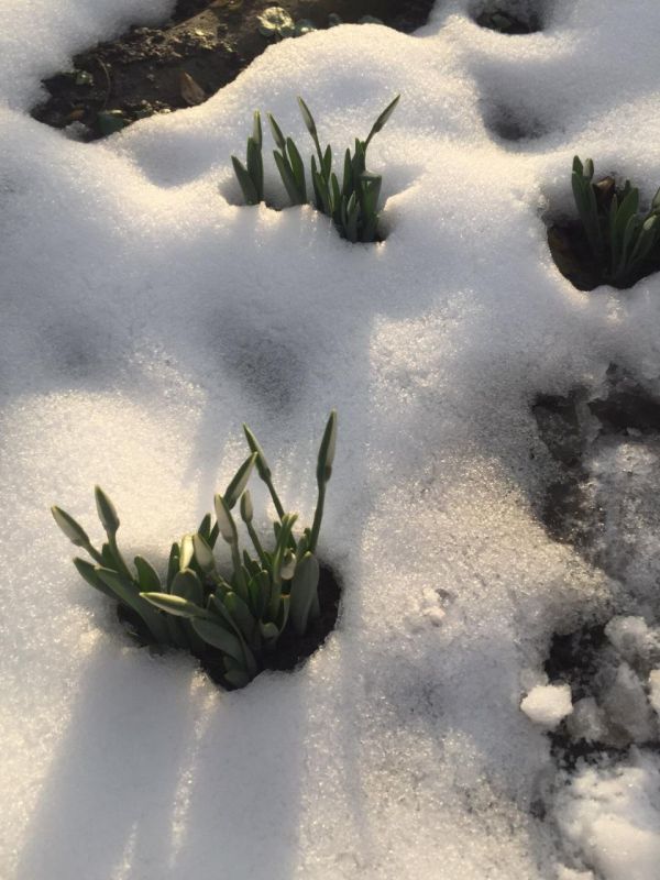 �� ���, ����������� ������ � ������? ���� �� ��� � ����� �������� ������