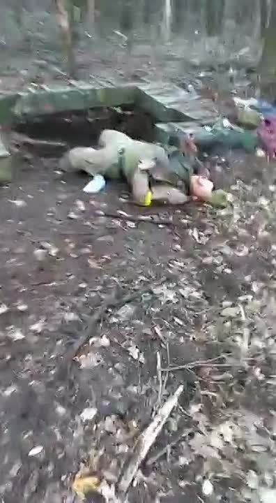 ����� 18+. �� �� ���������� ������ ���������� ��������