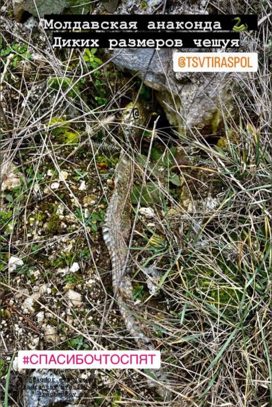 � ��� ����� �����, �������� � ���� ���������