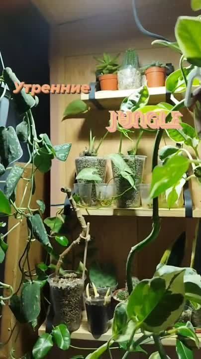 ����������, ��� ������ � �����!