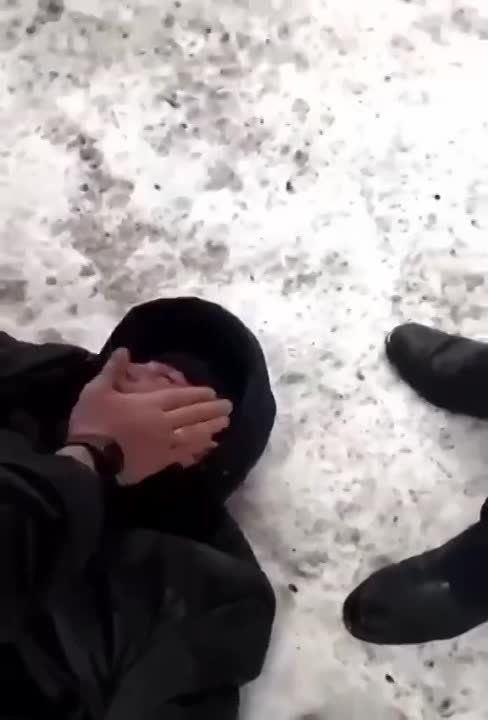 �������� ���. ������ ������, �������