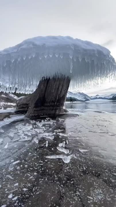 ������������ ��������� �������, ������� ������� ����� ��������, � ������ �������