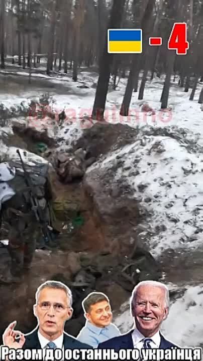 ��� � �������: ���� ������� ������� 80 ������� ���, ������� ���������