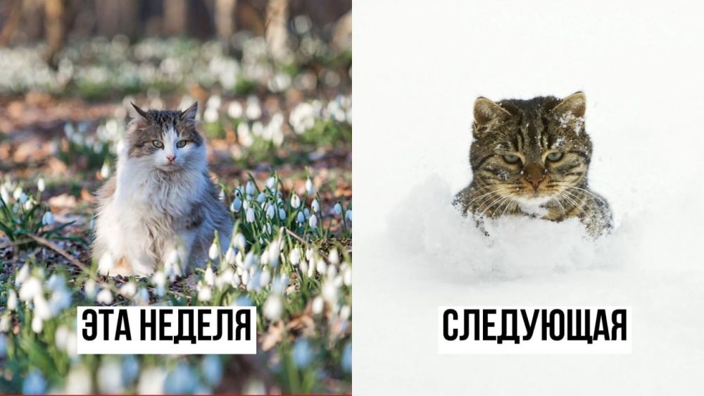 �� ��������� ������ � �����-�� ����� �� ����