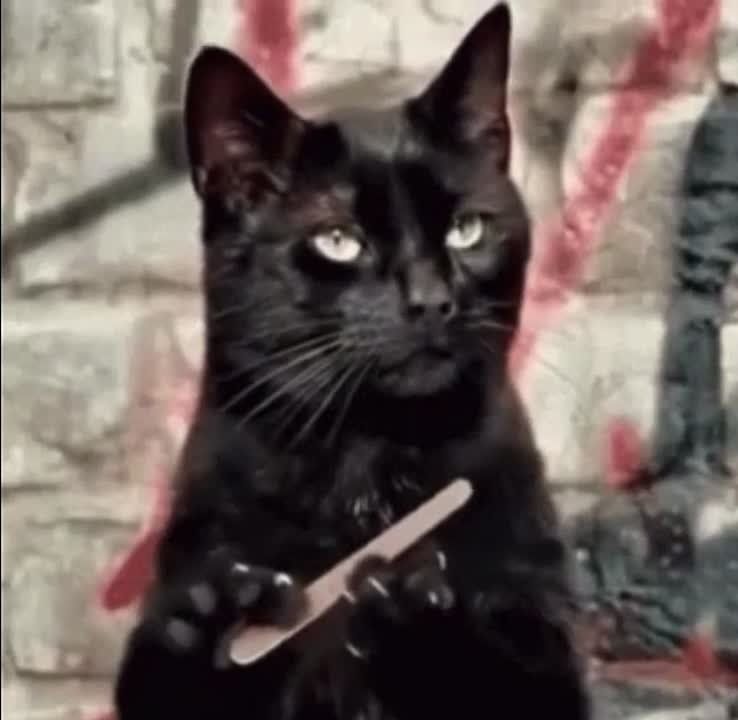 � ������ ��� ����������� ������� �������� �� ������ ����