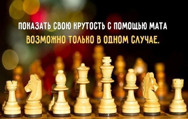 ����, ����� �������� ���������� �� ����