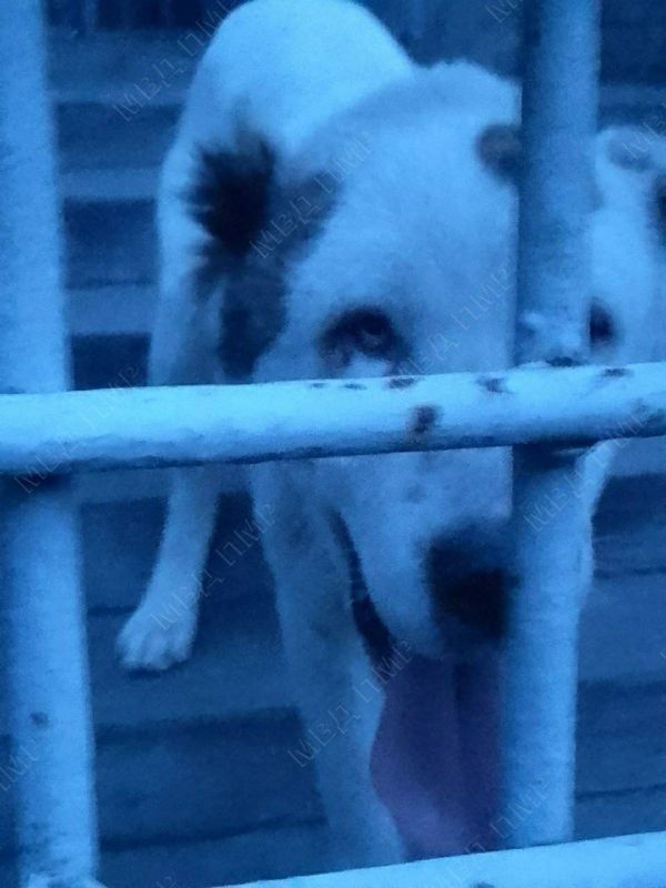 ������� ����� ����� ����� ����������� ����� ������