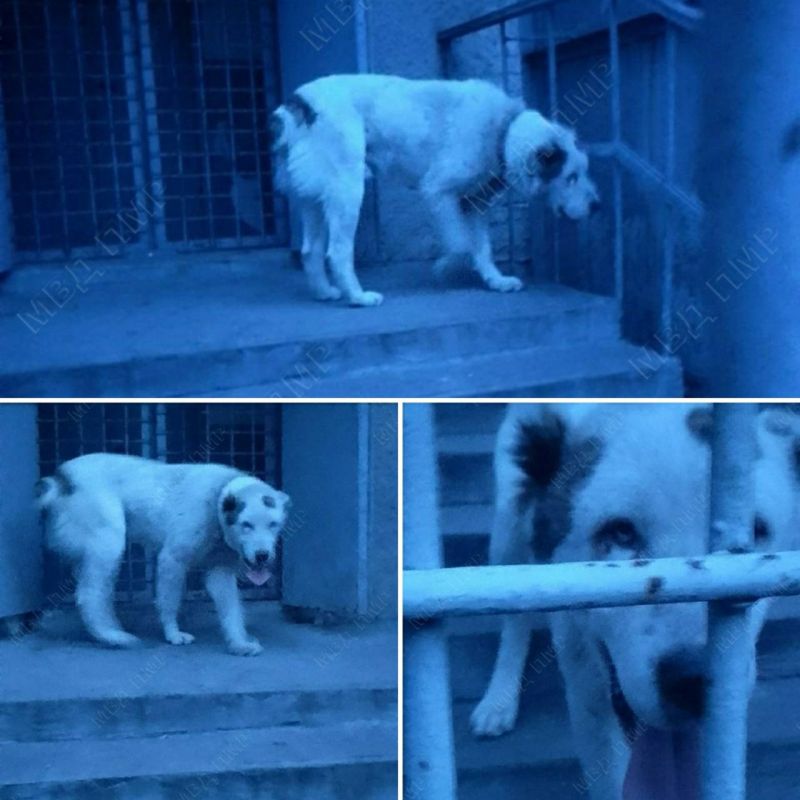 � ��������� ����� ���� ������ ������