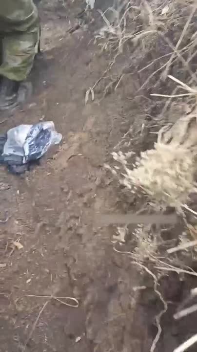 ����� ������������ � ���������� �������� �� ������������� � ���������