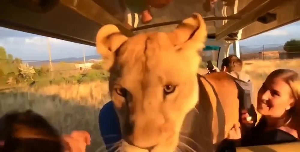 � ������ ���� ���� ���������� �������, �� ����� �������� ������������ ���������� �������� �������� � ����������� ������