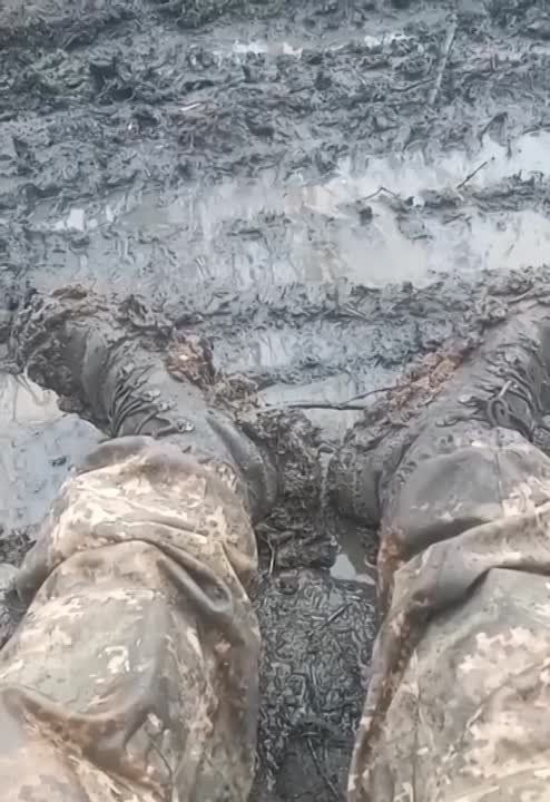 ������ �������� ����. ���� ������� �� ����������