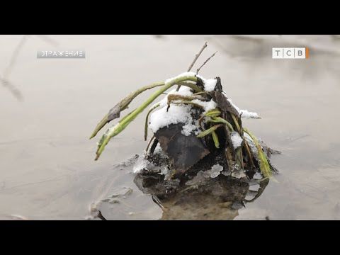 � ������������� ������������ ���������� �������� ��������� ����� ��������, � ���������� ������ �������� ������ �����....