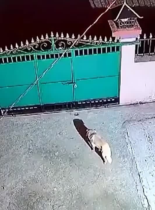 ���� ����� �� ������� ������ � ������ �� � ����� � ���