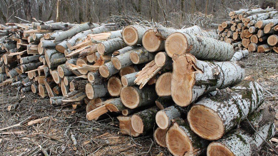 ����� 1 200 ���������� ����