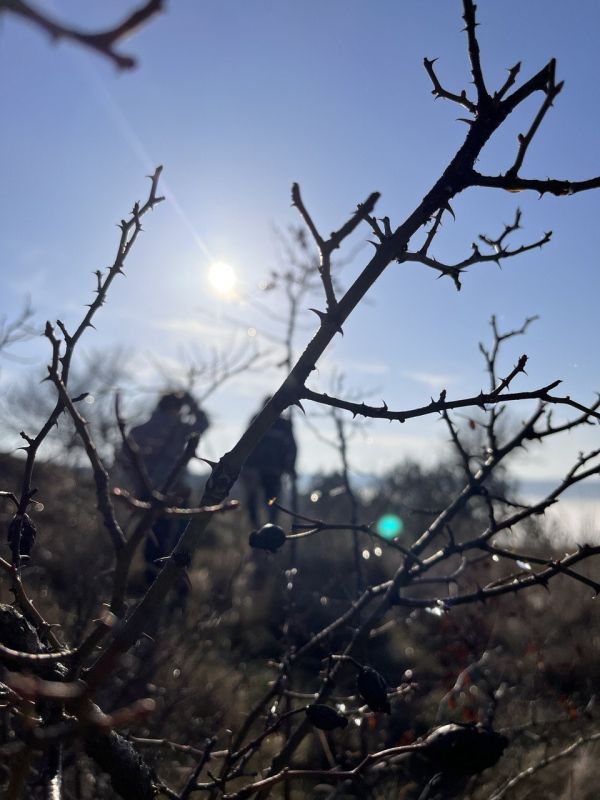 ������� � ������� � ������� � ������� ����������, ������������� �������������