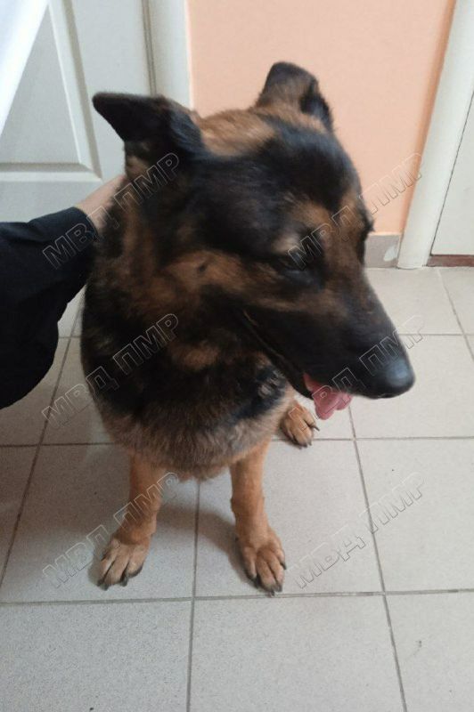 ������������� ������� ���� ������� �������