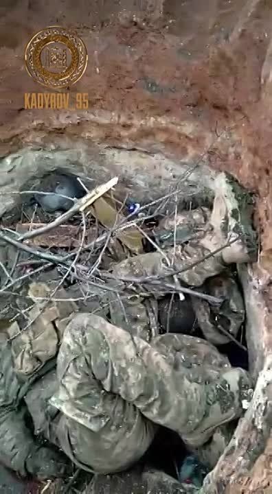 ����� �������� ����� ���������� ��������� �������� � ���� ��� �� �������