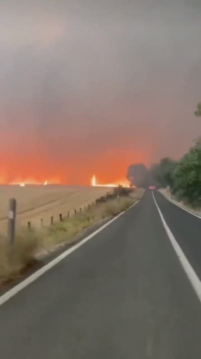 �������� ������� ����� �� ����� � ����, ��� ������ ������ ������ ������