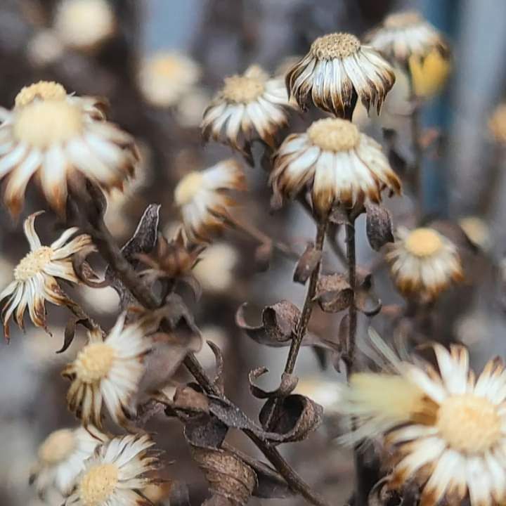 ���������. ��������. �������