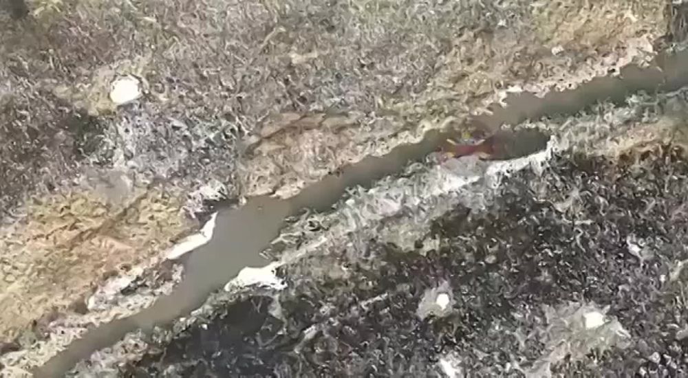 ����� ������������ � ���������� �������� �� ������������� � ���������