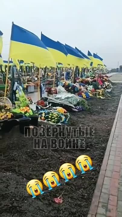 ��������� �������� ��� �� �������