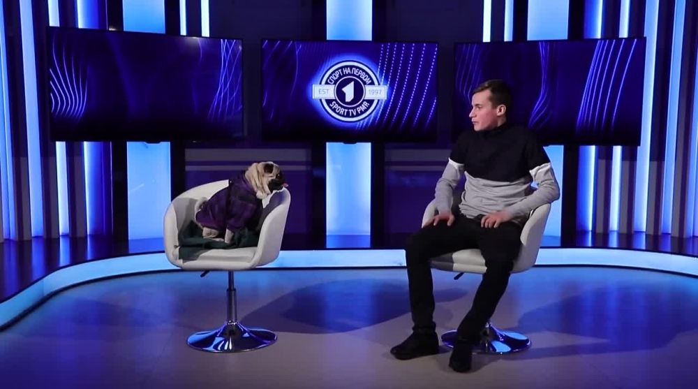 � ������� ������� ������� �� ������ ���� ������� ���������, ��� � ��� ���������� �������� �������