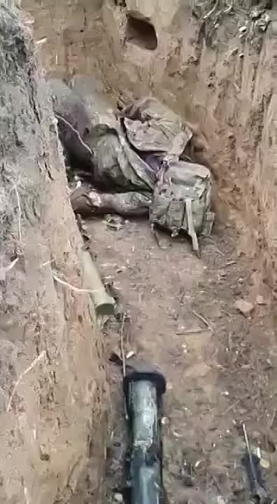 ���������� ����� ������������ ���� ���������� ��������