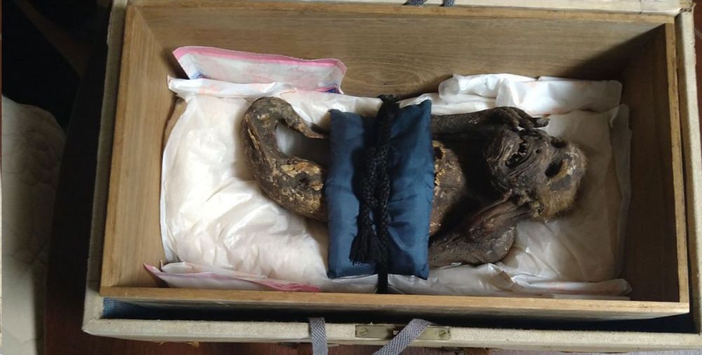 ������� �������������� �� ������ ��������� ����� "����� �������", ��������� �� ���������