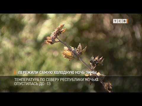 ��������� ���� ����� ����� �������� �� ��� ����. ����������� �� ������ ���������� ���������� �� -13. ����������� ���� ������ �� �����. �� ��������� ����������, �������� ��������� � ��� �� ������ ��������� ��������