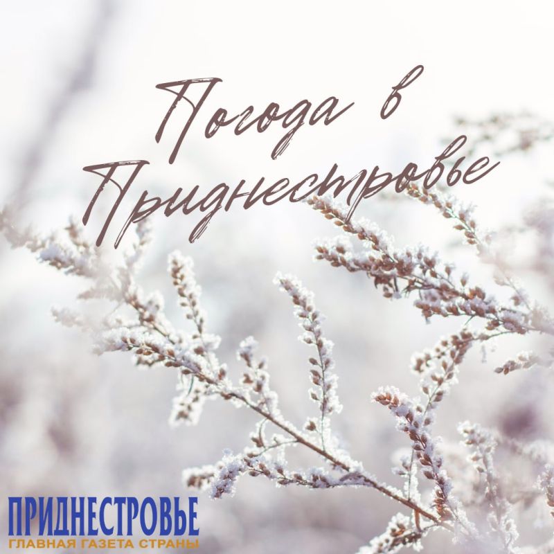 9 ������� ��������� ���������� ����������, ��� �������