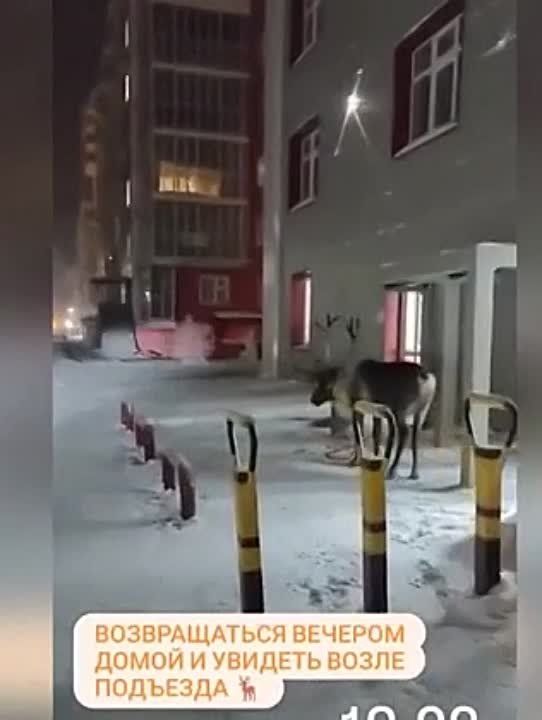 ����� ����, �����, � ���� ������ ��������