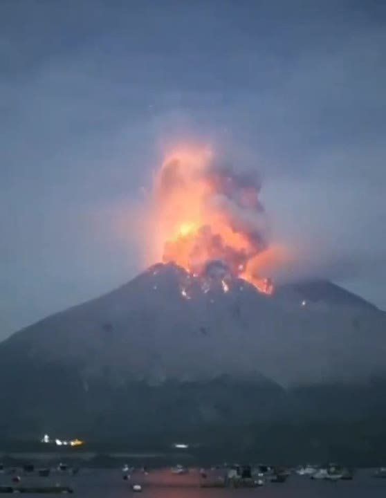 � ������ ��������� ������ �����������