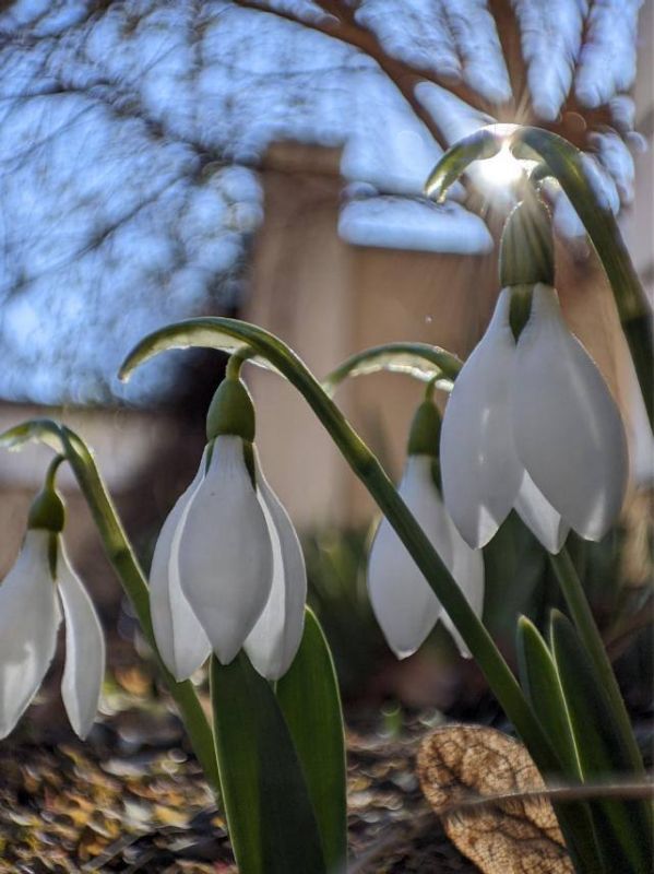 ��� ��� � �������. ���� �� ������