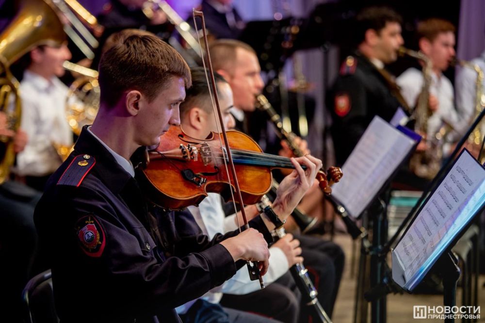 ���� ���-2�, Queen, Bee Gees � �� ������