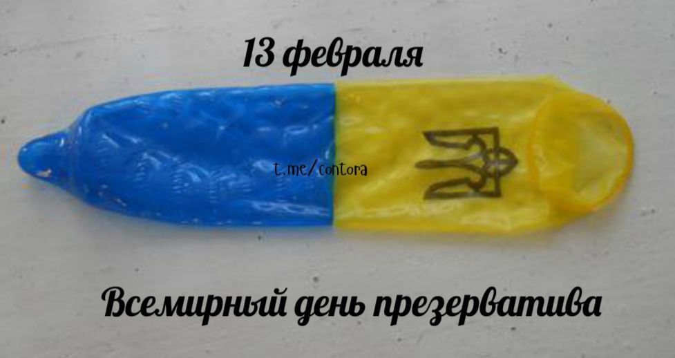 ������� ��������� ���� ������������